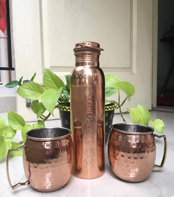 Manufacturer, Exporter, Importer, Supplier, Wholesaler, Retailer, Trader of Engraved Gifting Copper Bottles in New Delhi, Delhi, India.